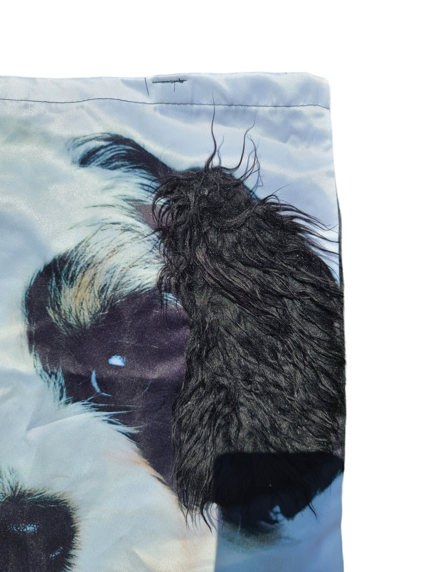 Coquette harajuku dog bag