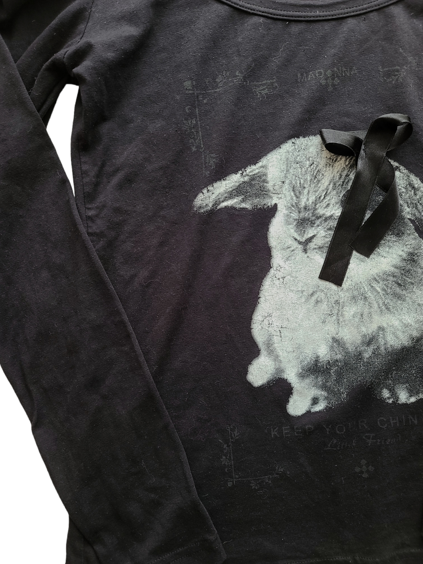 Y2k downton coquette rabbit top