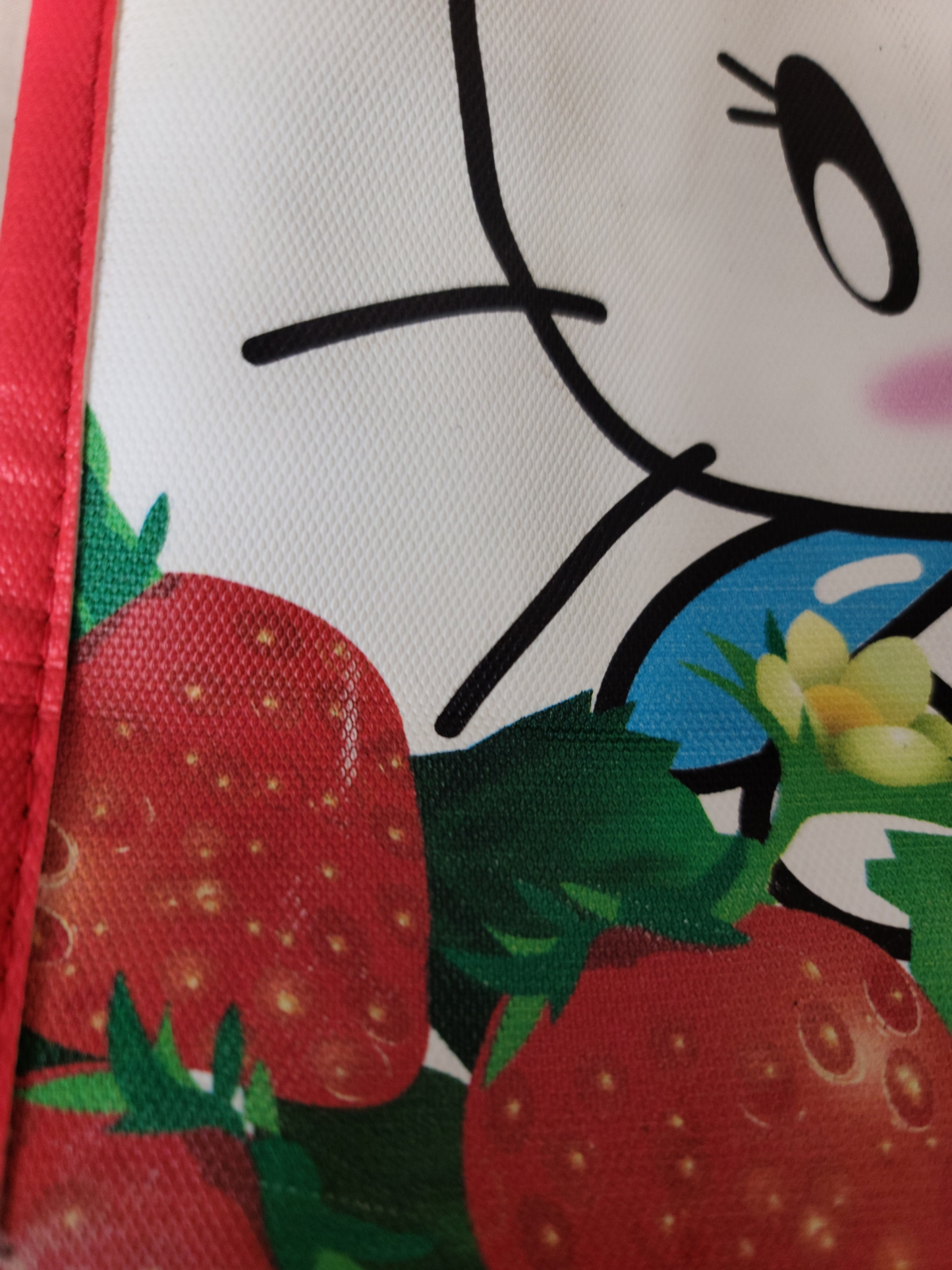 Harajuku printed bag fraises