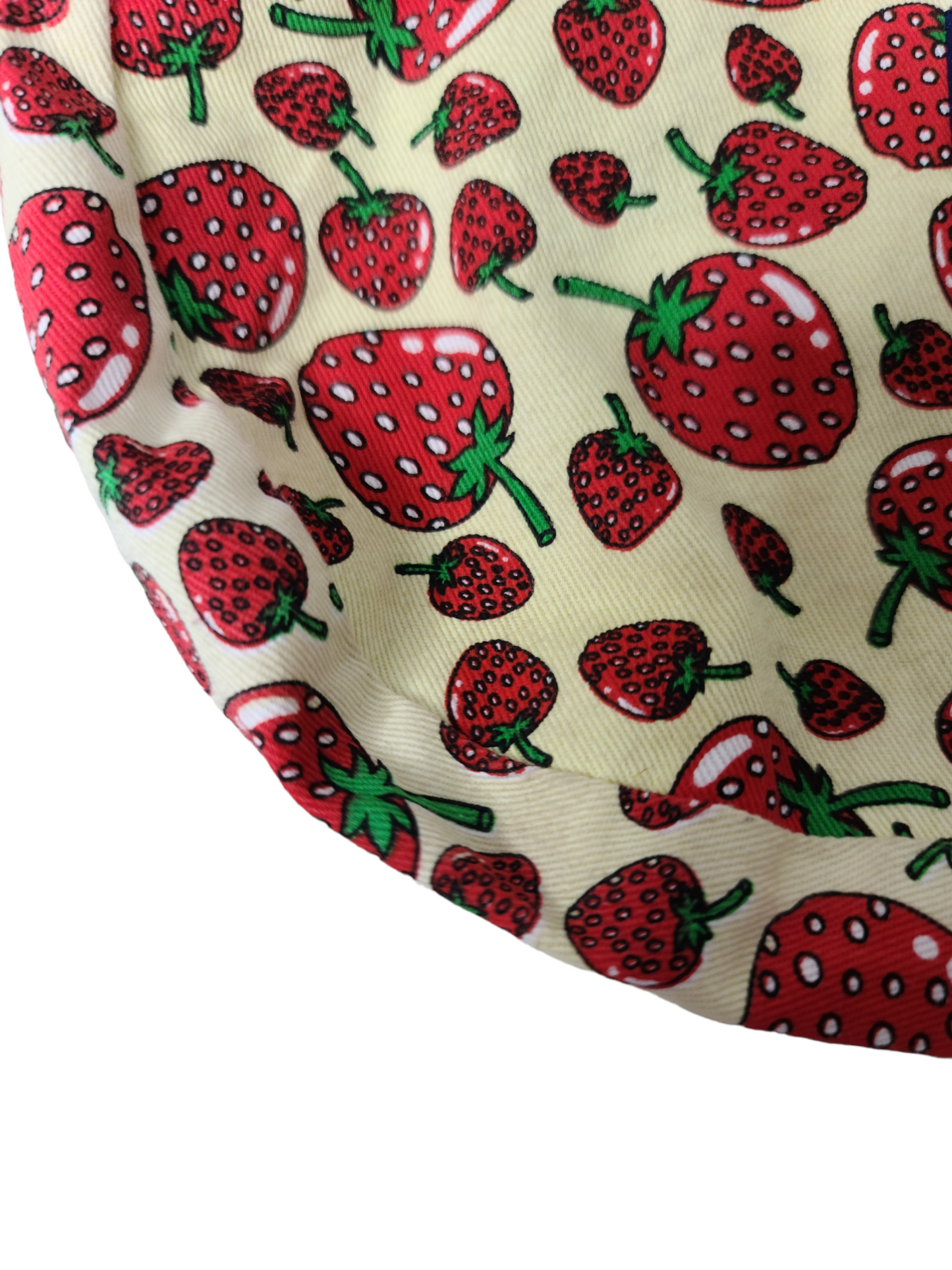 90s strawberry baguette mini bag