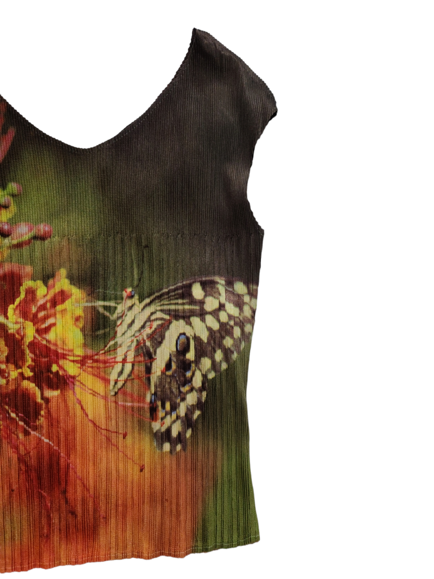 Butterfly archive stretch top